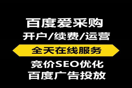 百度竞价赚钱技巧：实战案例分析
